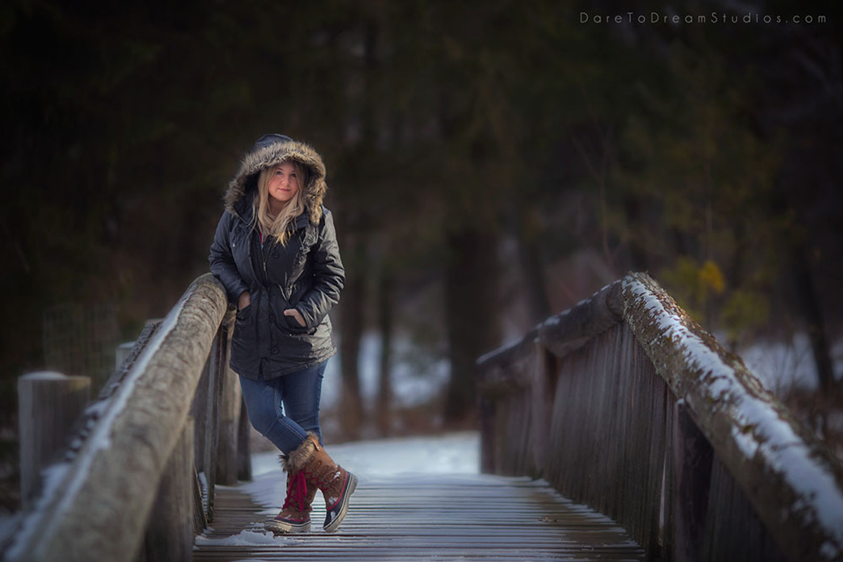20- Snow Digital Backdrops - Winter, an Object Graphic by DareToDream (Photo 5 of 5)