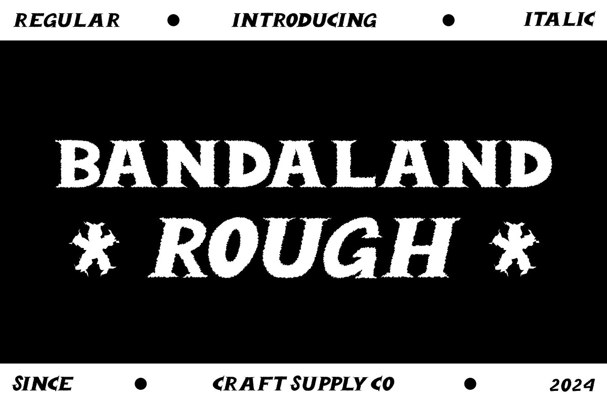 Bandaland Rough, a Serif Font by Craft Supply Co. (Photo 1 of 8)