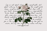 Kallistone Handwritten Font, a Handwritten Font by DzikrulAulia (Thumbnail 6 of 9)