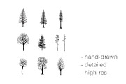 Photoshop Winter Tree Brushes, a Brush Add-On by buntegalerie (Thumbnail 3 of 3)