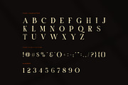 Moner Elegant Serif Font, a Serif Font by Perfectype (Thumbnail 7 of 8)