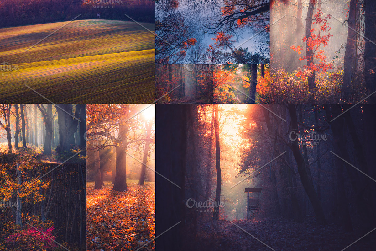 Red Aurora Artistic Lightroom Preset, an Action Add-On by Mark Borbely (Photo 2 of 14)