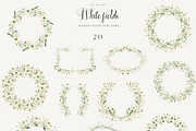 White Fields wildflowers flora, an Education Illustration by LiChu Art (Thumbnail 8 of 12)