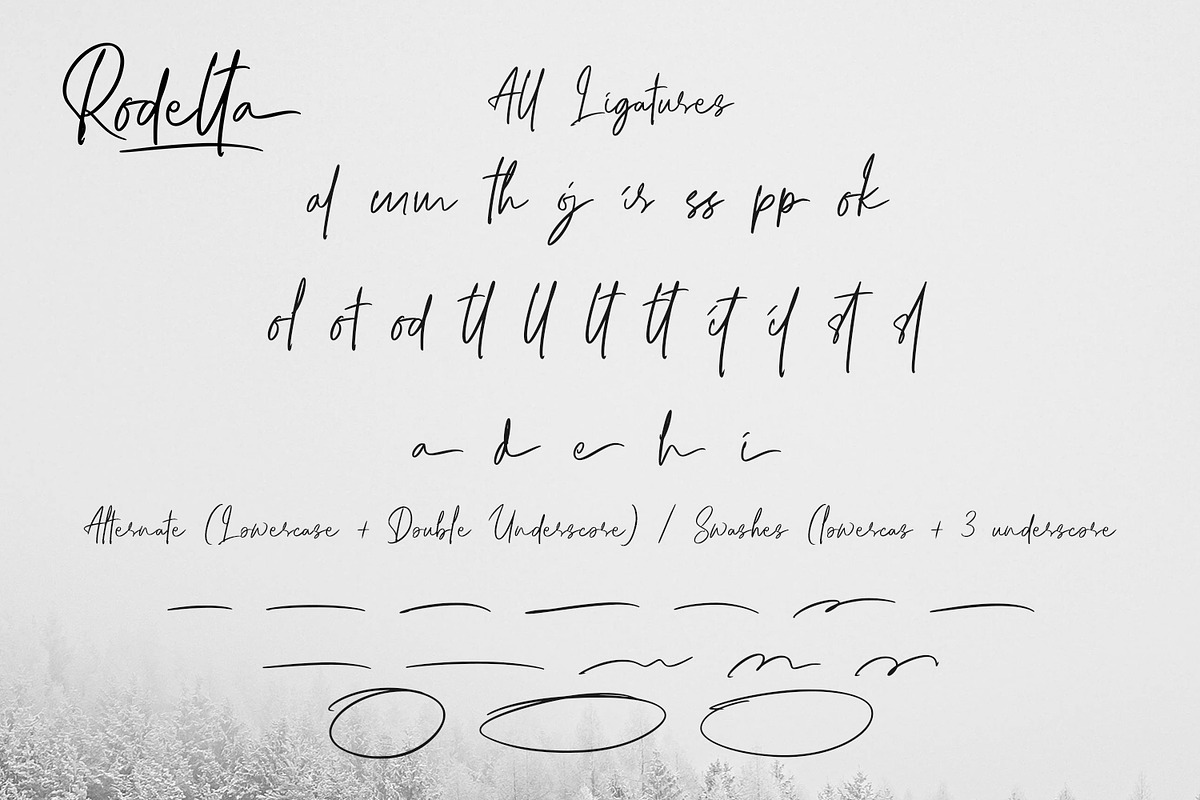 Rodelta - Modern Signature Font, a Handwritten Font by Voux Studio (Photo 23 of 24)