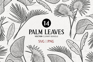 Palm Leaves Vector Line Art Set