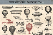 87% OFF Vintage Bundle - Free Update, an Animal Illustration by Brigantine Designs (Thumbnail 11 of 21)