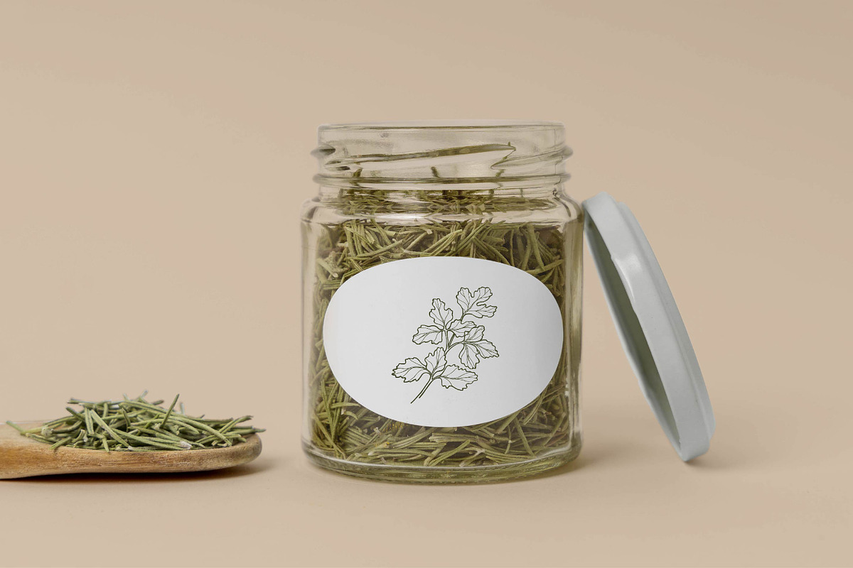 Hand drawn herbs and spices, an Object Illustration by RaDavCrafts (Photo 7 of 7)