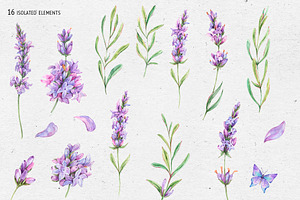 Watercolor Lavender Clip Art