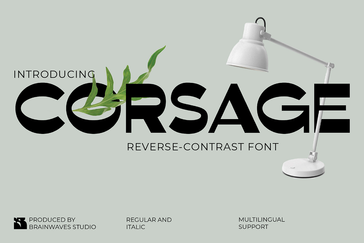 Corsage - Reverse Contrast Font, a Serif Font by Brainwaves.Studio (Photo 1 of 9)