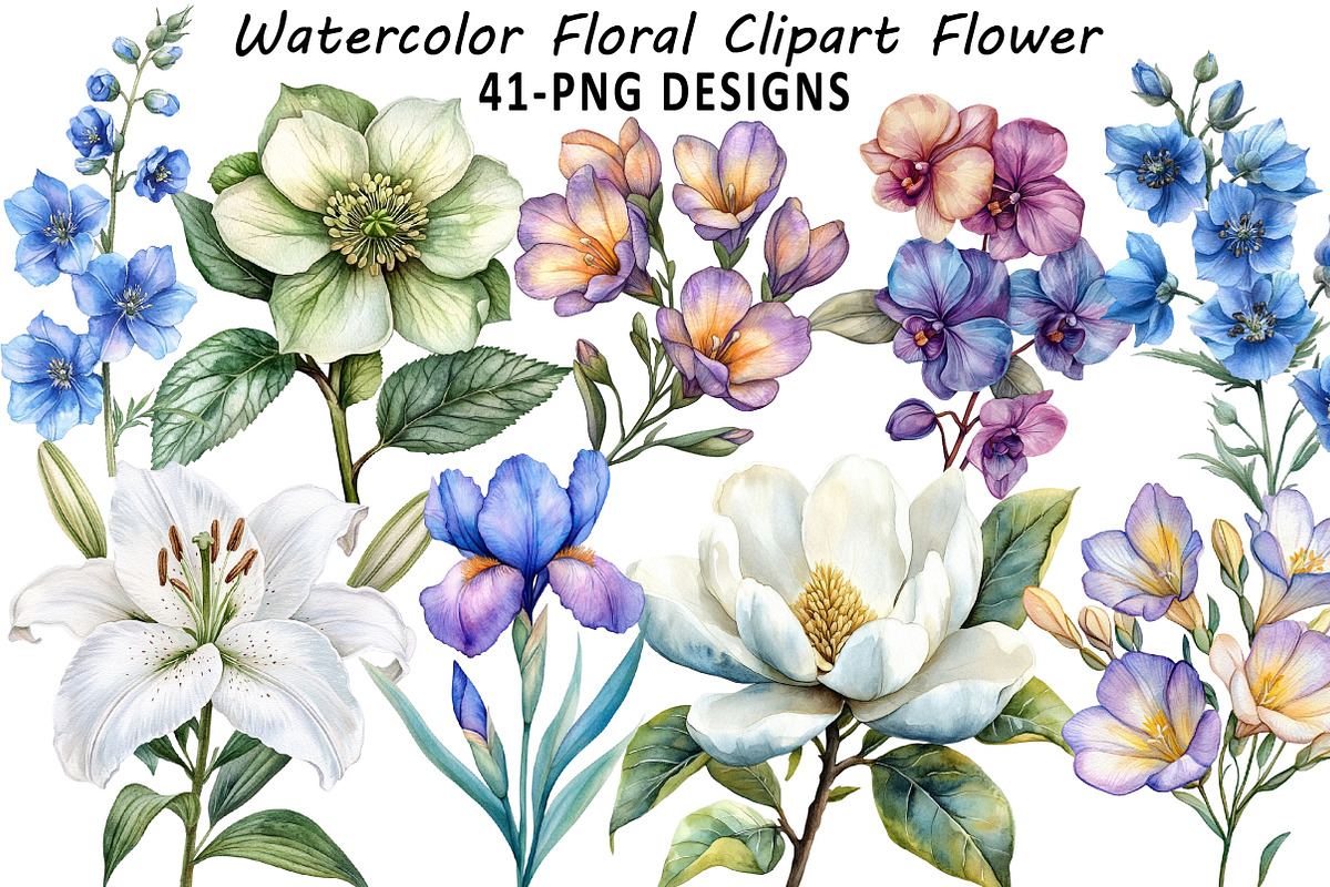 Watercolor Floral Clipart Flower, an Illustration by Daily.Designs (Photo 1 of 8)
