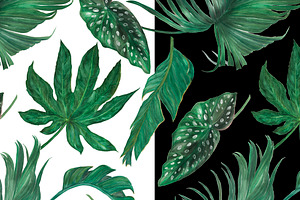 Palm Tree Leaves Patterns