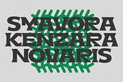 Brekid Luxurious Font, a Serif Font by Erifqizefont (Thumbnail 13 of 16)