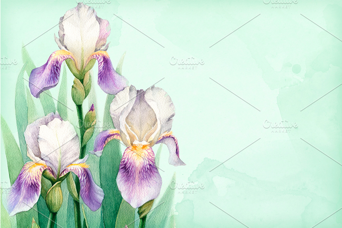 Watercolor iris flowers kit, a Texture Illustration by Sundra (Photo 8 of 9)