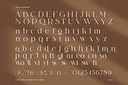 Malfina Elegant Serif Font, a Serif Font by Perfectype (Thumbnail 8 of 8)