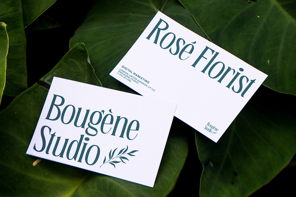 Bougene - Elegant Display Serif Font, a Serif Font by Sekyra Lab (Photo 10 of 11)