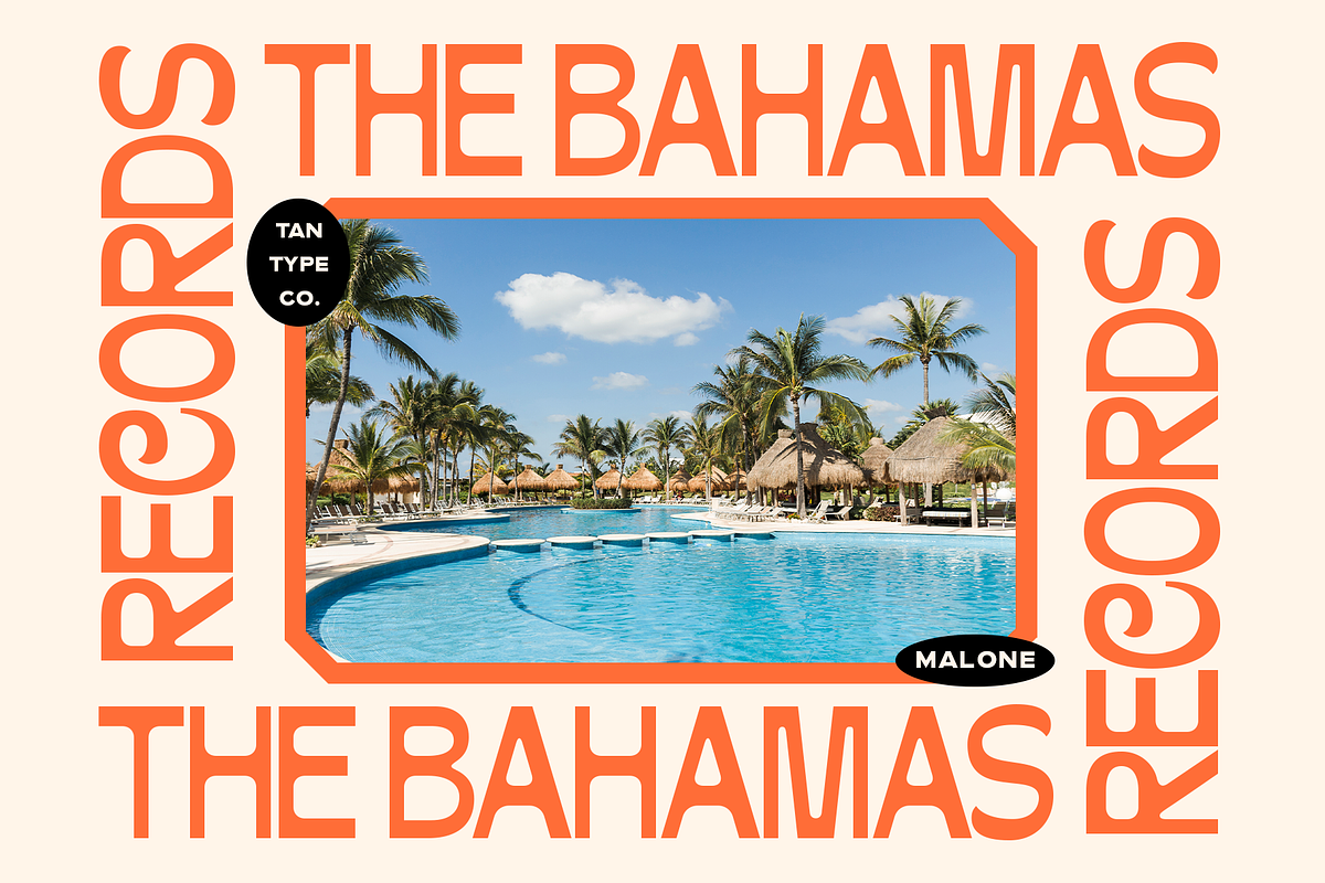 TAN-MALONE, a Sans Serif Font by TanType (Photo 2 of 11)