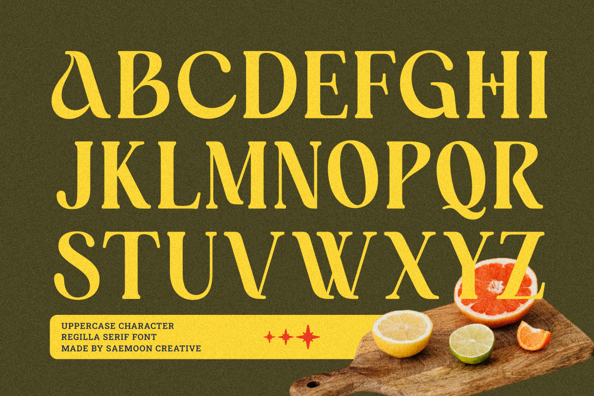 Regilla, a Serif Font by saemoon creative (Photo 9 of 16)