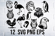 Birds svg png clipart, an Animal Illustration by Bila Vorona (Thumbnail 1 of 4)