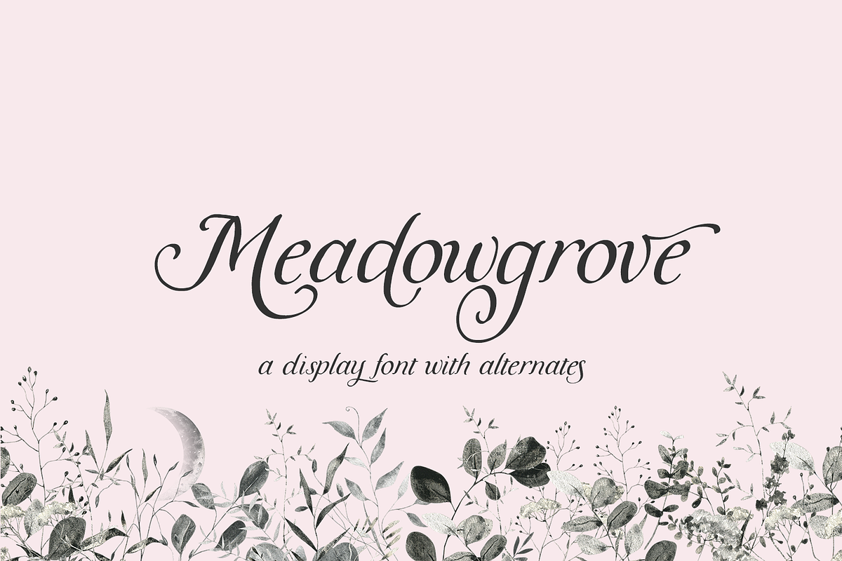 Meadowgrove Calligraphy Font, a Handwritten Font by Beck McCormick (Photo 1 of 10)