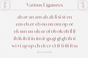 Mollie Glaston-Modern Ligature Serif, a Serif Font by Mulkan Nazir (Thumbnail 14 of 14)
