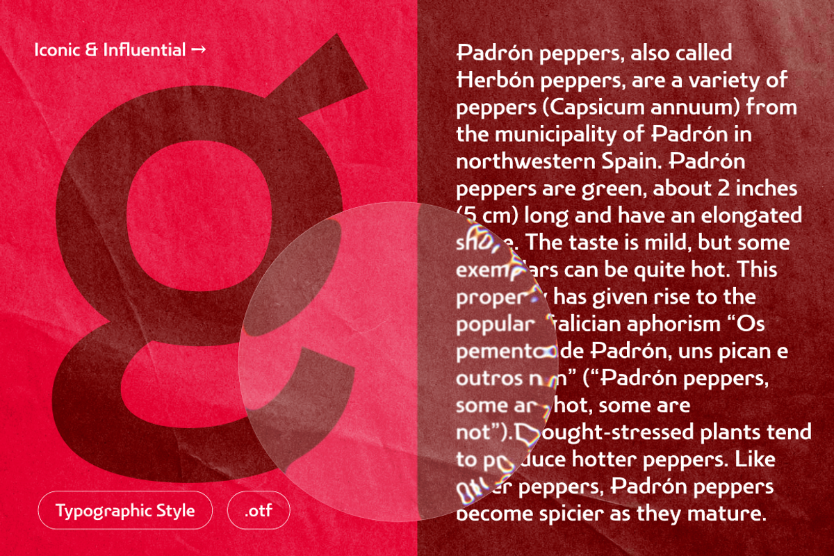 Aonigan Sans Display, a Sans Serif Font by Simetrica Labs (Photo 10 of 10)