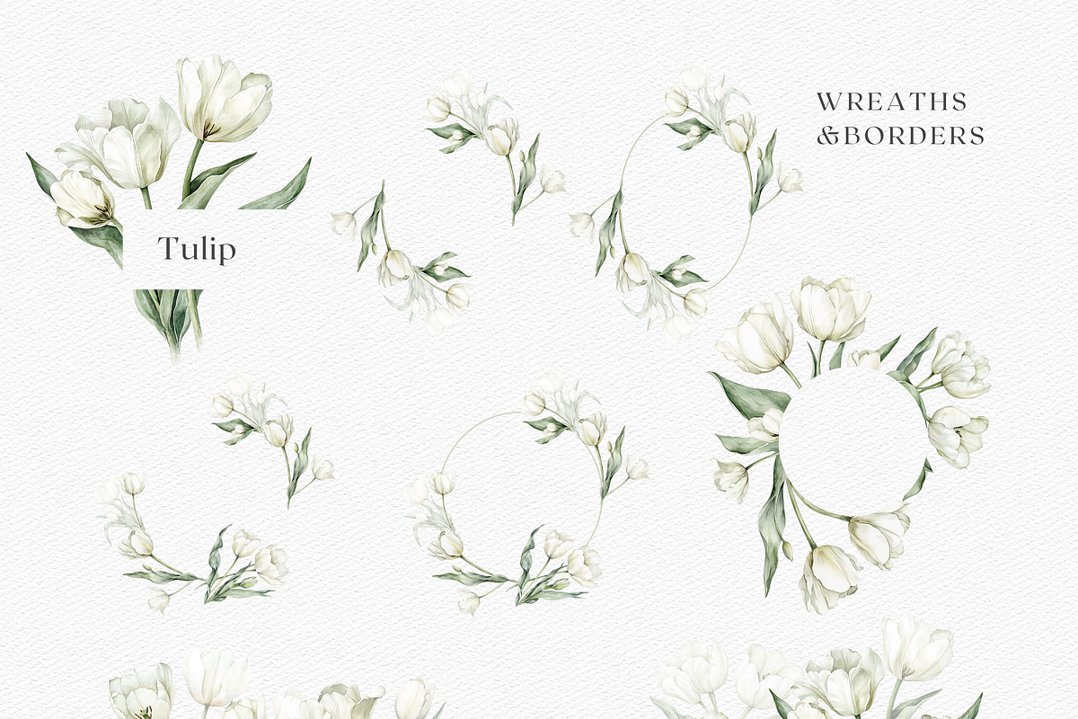 Tulip Whisper - Watercolor Clipart, an Illustration by ThaismotaCreativeCo (Photo 7 of 10)