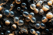 52 Fictional Microscopic Organisms, an Abstract Photo by h.utomo (Thumbnail 34 of 52)