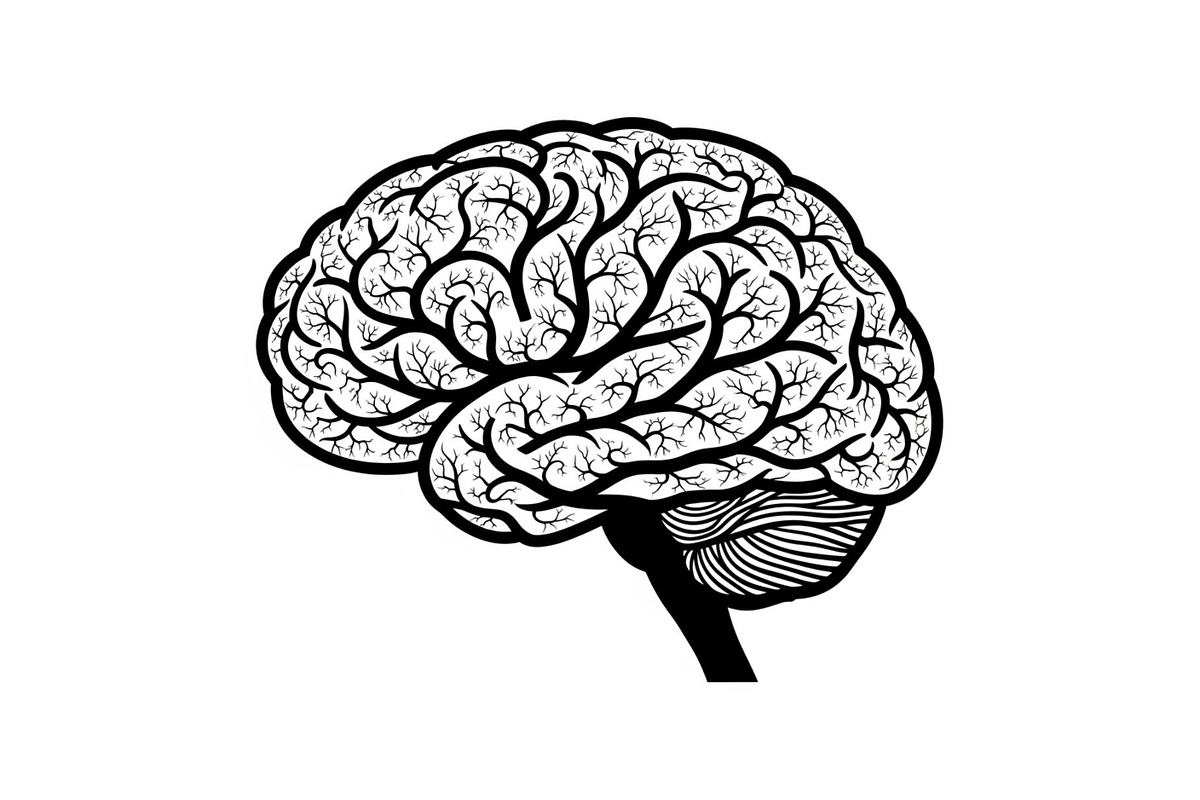 Brain Tree Knowledge Design Bundle, an Illustration by Gaye Art (Photo 3 of 31)