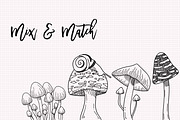 Mushroom Sketch Clipart Collection, an Illustration by Hannah Eliza Studio (Thumbnail 4 of 5)