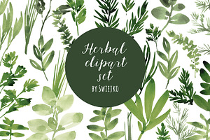 Watercolor Herbs Set