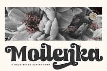 Moilenka - A Bold Retro Script