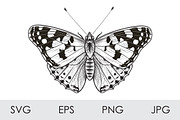 Monochrome Painted Lady Butterfly, a Decorative Illustration by Valentyna Smordova (Thumbnail 1 of 2)