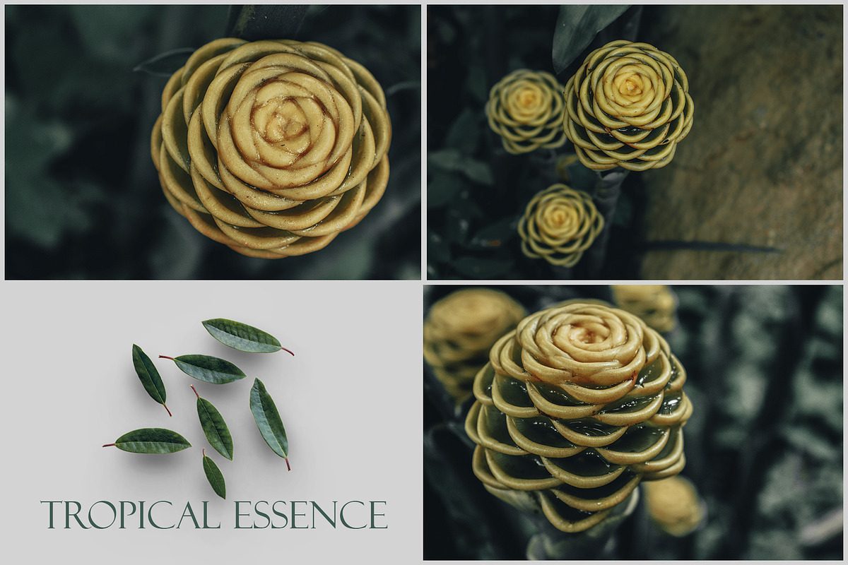 Tropical Essence. Photo bundle, a Wallpaper Graphic by EYWA ART (Photo 8 of 8)