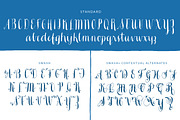 Ahra Family, a Script Font by Magpie Paper Works (Thumbnail 3 of 5)