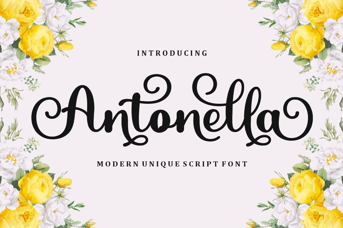 Antonella Script, a Script Font by Bosstype Studio (Photo 1 of 8)