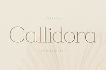 Callidora New Modern Serif