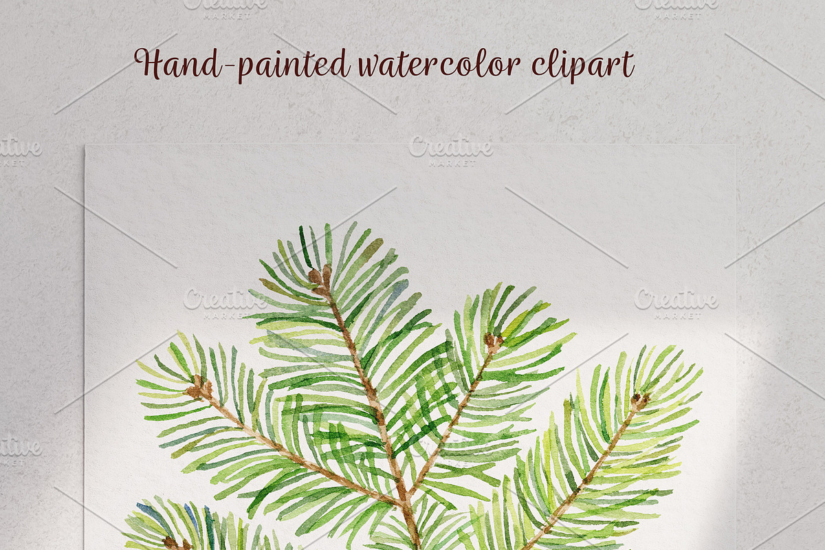 Watercolor pine cones clipart set, an Illustration by svetodesign (Photo 6 of 9)