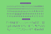 Kushers Modern Serif Display Font, a Serif Font by timelesstype.co (Thumbnail 18 of 20)