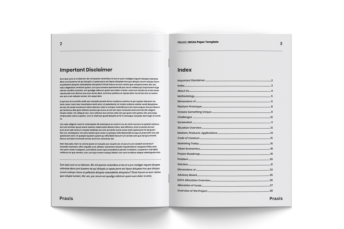 White Paper Template, a Brochure Template by azadcsstune (Photo 8 of 15)