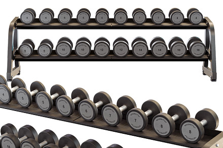 Technogym Two Tier Dumbbell Rack
