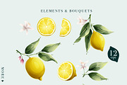 Watercolor vector lemons collection, a Healthcare Illustration by kaer_shop (Thumbnail 2 of 8)