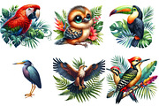 Tropical Bird Png, Jungle Birds png, an Illustration by Watercolor design (Thumbnail 4 of 4)