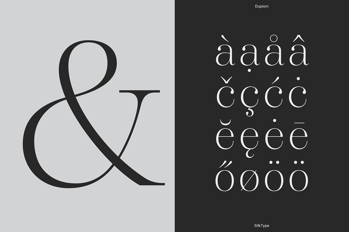 Dupioni Thin - Ligature Serif, a Serif Font by Silktype (Photo 16 of 20)