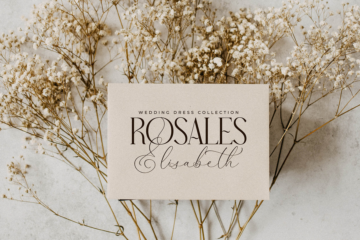 Narque Holden Gold Font Duo, a Serif Font by Storytype Studio (Photo 7 of 15)