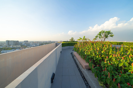 Sky garden on private rooftop of condominium or hotel, high rise, a Background Photo by Tampatra