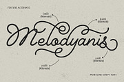 Bernadyans - Monoline Script Font, a Script Font by Inviline.co (Thumbnail 5 of 12)