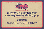 The Boldstyle | Retro Script, a Script Font by Almeera Std (Thumbnail 9 of 11)