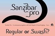 Sanzibar Pro, a Sans Serif Font by ArtyType (Thumbnail 2 of 7)