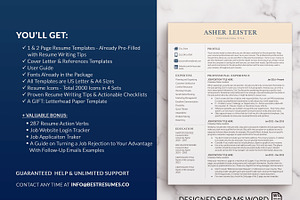 Resume Template Executive Style