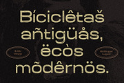 Rolide Vintage, a Sans Serif Font by Craft Supply Co. (Thumbnail 6 of 8)